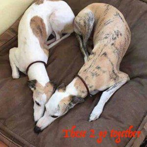 Don't break my heart!